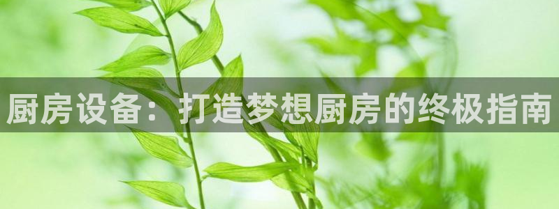 尊龙凯时人生就是搏客户：厨房设备：打造梦想厨房的终极指南