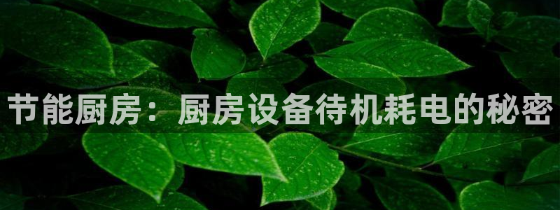 尊龙科技：节能厨房：厨房设备待机耗电的秘密